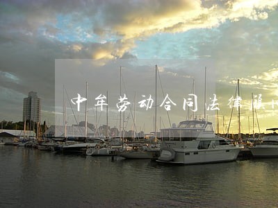 中牟劳动合同法律顾问 中牟劳动合同法律顾问