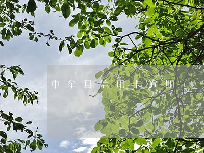 中牟县信用卡逾期 中牟县信用卡逾期
