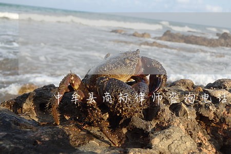 中牟县商标律师咨询电话