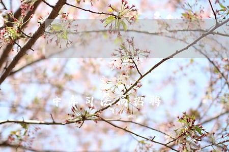 中牟司法局招聘