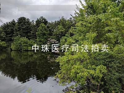 中珠医疗司法拍卖 中珠医疗司法拍卖