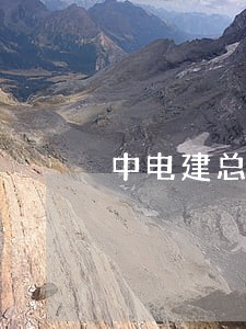 中电建总法律顾问