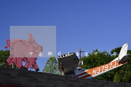 中电联司法鉴定中心专家 中电联司法鉴定中心专家