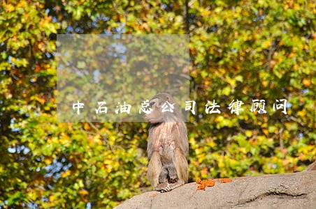中石油总公司法律顾问 中石油总公司法律顾问
