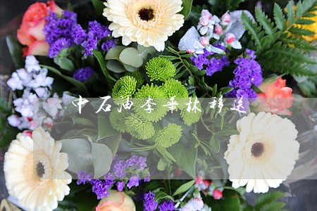 中石油李华林移送 中石油李华林移送