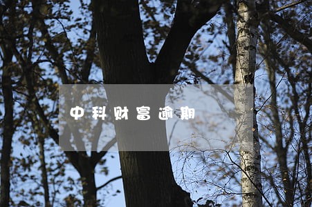 中科财富逾期 中科财富逾期