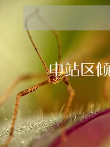 中站区倾销补贴在线律师咨询