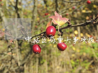 中站区局重大事项报告制度 中站区局重大事项报告制度