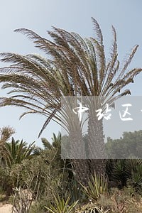 中站区诉讼仲裁免费法律咨询热线 中站区诉讼仲裁免费法律咨询热线