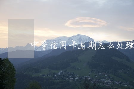 中等信用卡逾期怎么处理