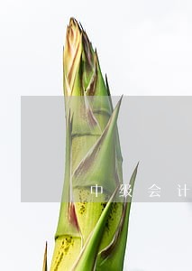 中级会计经济法第一章知识点