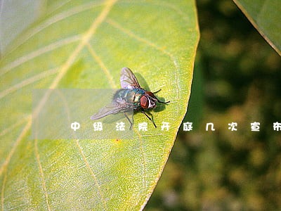 中级法院开庭几次宣布结果 中级法院开庭几次宣布结果