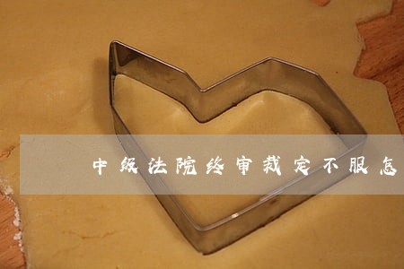 中级法院终审裁定不服怎么办