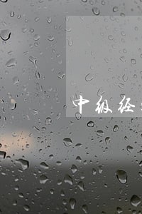中级经济法一房多租 中级经济法一房多租