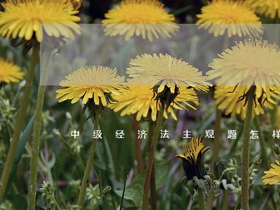 中级经济法主观题怎样答能少扣分 中级经济法主观题怎样答能少扣分