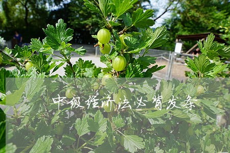 中级经济法必背发条 中级经济法必背发条