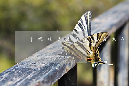 中级经济法必背法条大全 中级经济法必背法条大全