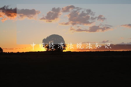 中级经济法税法知识 中级经济法税法知识