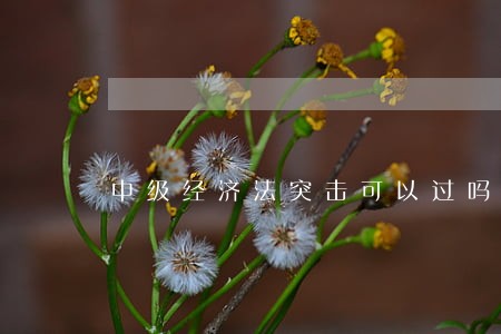 中级经济法突击可以过吗