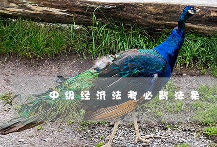 中级经济法考必背法条 中级经济法考必背法条