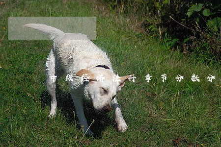 中级经济法计章节分数分布 中级经济法计章节分数分布