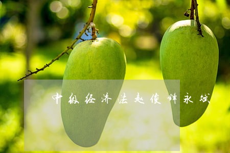 中级经济法赵俊锋永斌 中级经济法赵俊锋永斌