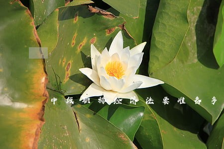 中级职称经济法要准备多长时间 中级职称经济法要准备多长时间