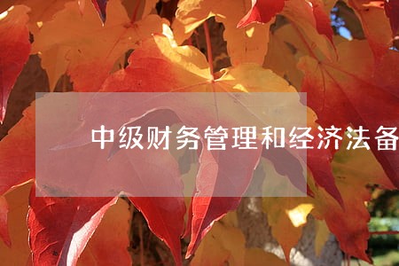 中级财务管理和经济法备考方案 中级财务管理和经济法备考方案