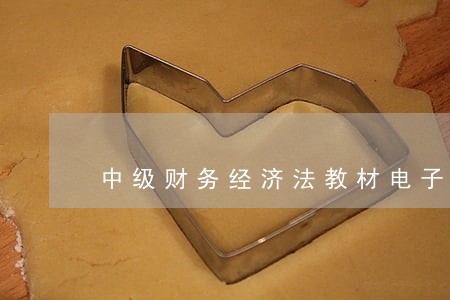 中级财务经济法教材电子版 中级财务经济法教材电子版