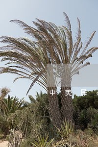 中美民办高校立法的比较研究 中美民办高校立法的比较研究