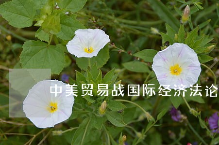 中美贸易战国际经济法论述题 中美贸易战国际经济法论述题