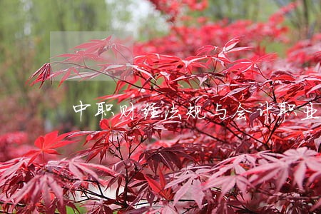 中职财经法规与会计职业道德 中职财经法规与会计职业道德
