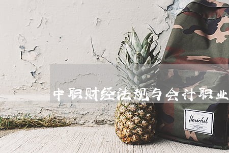 中职财经法规与会计职业道德教案