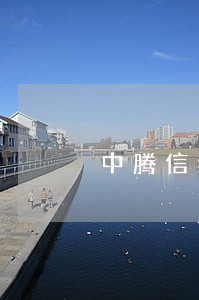 中腾信线上贷款逾期 中腾信线上贷款逾期