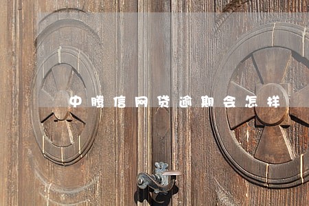 中腾信网贷逾期会怎样 中腾信网贷逾期会怎样