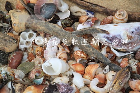 中腾信贷款逾期怎么样