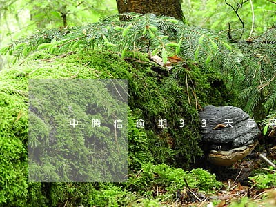 中腾信逾期33天后果还不起 中腾信逾期33天后果还不起