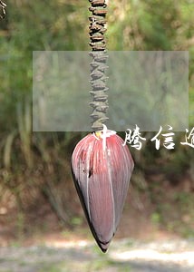 中腾信逾期多久会上门6 中腾信逾期多久会上门6