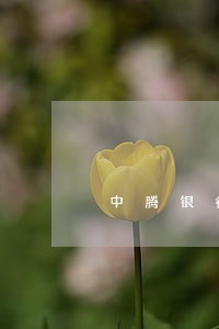 中腾银行信用卡逾期多久上门 中腾银行信用卡逾期多久上门