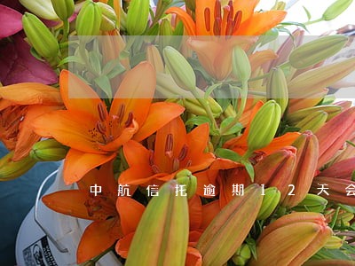 中航信托逾期12天会影响征信吗 中航信托逾期12天会影响征信吗