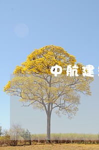 中航建筑工程有限公司 中航建筑工程有限公司