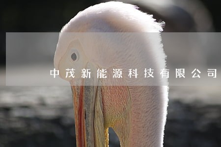 中茂新能源科技有限公司诉讼信息 中茂新能源科技有限公司诉讼信息