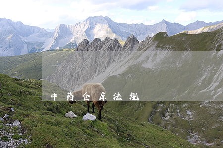 中药仓库法规 中药仓库法规