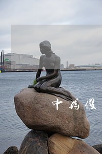 中药假药法规