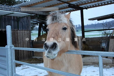 中药法律法规重点 中药法律法规重点