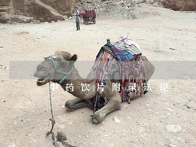 中药饮片附录法规 中药饮片附录法规