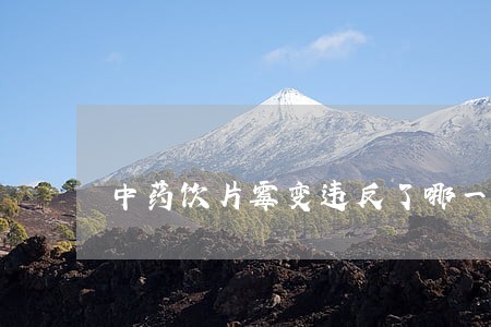 中药饮片霉变违反了哪一条法规