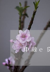 中融e贷逾期后续 中融e贷逾期后续
