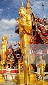 中融佰诚逾期