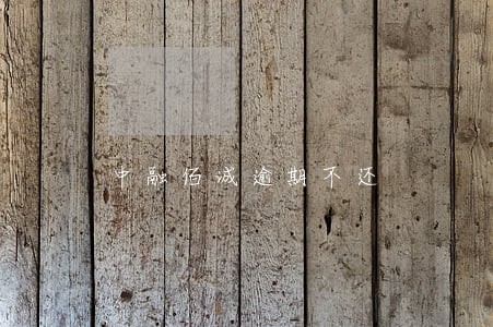 中融佰诚逾期不还 中融佰诚逾期不还